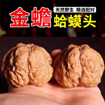 文玩核桃蛤蟆头-文玩核桃蛤蟆头促销价格、文玩核桃蛤蟆头品牌- 淘宝