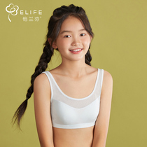 Girls underwear junior high school students 12-15 years old development small vest high school students female baby girl bra