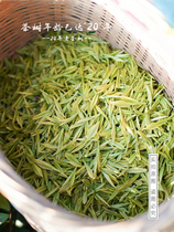 2021 Anji white tea New tea High mountain authentic premium large canned green tea 300g bulk ecological ration tea spring tea