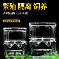 Guppies breeding artifact Guppies Incubation Box Fish Tank Isolation Box Tropical Fish Small Fish Young Fish Fry Small Fish Fry Small Fry Small