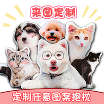 Kitty Cuddle Pillow Diy Custom Shaped animal pooch leans on pillows to figure out a print photo pet to book an avatar