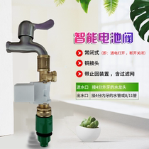 Solenoid valve water valve faucet automatic switch 4-point water flow controller all copper shower 12V low pressure pressurized watering flower