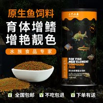 Three small fish native fish feed guppies light fish small tropical slow sinking Betta fish ornamental young fish food