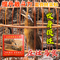 A- level boutique thrush bird food feed play bird fighting bird fight bird singing bird singing bird lift sex strong fat hand nutrition mouth mouth