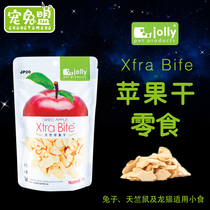 Jolly Zuli Apple dried 25g rabbit snack guinea pig hamster snack