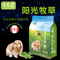 Mr Grass imported Timothy grass Canadian sunshine forage Chinchilla guinea pig Rabbit grass