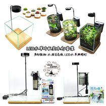 Micro landscape LED succulent plant lamp aquarium ecological bottle lighting light small fish tank clip light micro landscape led Moss lamp