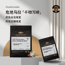{New products} FISHER Guatemala one thousand café ten thousand phine estate Splendid Summer Tip Bourbon Washed Sunburn Sun N3