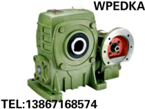 Factory direct WPEDKA WPEDKS120-175# Double stage worm gear reducer reducer Reducer