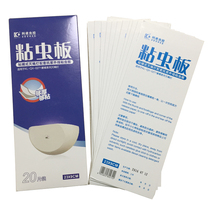 Purple Butterfly one blue zhan bu-IED sticky flypaper in Jiangsu Zhejiang and Anhui 40