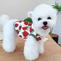 Strawberry vest Spring and Autumn Dog Cat Anti-knotting Small Dog Teddy Pet Schnauzer Bai Bear Clothes Autumn Clothes