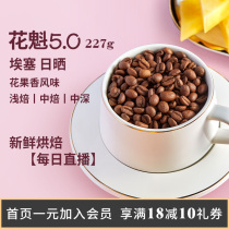 Hua Kui 5 0 Ethiopia sun sun-dried Sidamo floral strawberry Italian hand rush American sugar-free pure black coffee beans