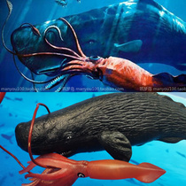 Sperm Whale Model Giant Gun Squid Squid Ocean Toys Humpback Whale Shark Diver