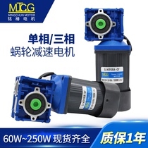 Speed control worm gear motor RV30 RV40 right angle motor 40W-250W motor 220V 380V