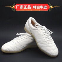 Xingwutang head layer soft leather Taijiquan shoes beef tendon bottom martial arts training shoes men and women leather kung fu shoes few children