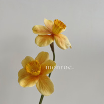 Yang Narcissus Artificial Flower Plumeria Yellow Fake Flower Immortal Flower Plastic Flower Photography Decoration Props Wedding Flower Arrangement
