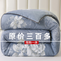 Antarctic official flagship store silk quilt 100 silk winter quilt thickened cotton 10kg 8 winter quilt