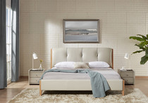 Gujia Home Modern Simple Leather Bed PTM033 Sansheng III