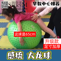 Childrens big dragon ball early education baby sensory training yoga fitness balance fitness fitness weight loss small thickening