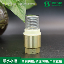 (Shunshui) Stainless steel mesh copper bottom valve Suction pump spring vertical bottom valve Vertical check valve Bottom valve