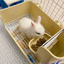 Lazge rabbit toilet potty anti-spray urine pet chinchink guinea pig free of sand urine basin rabbit supplies