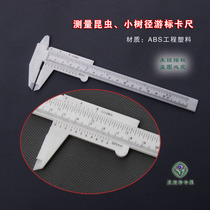 Vernier caliper for insect small tree path measurement Common instruments for collection and production of animal and plant specimens can be invoiced New products