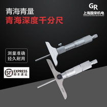 Qinghai Qingli Depth Micrometer 0-25-50-100-150-200-300mm Round Head Micrometer