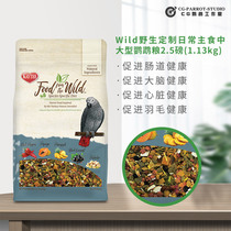 KT Katie Wild daily staple medium large parrot synthetic grain nourishing pill 2 5 pounds 21-10 CG