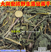 (Rat Home) Daxinganling 14 years of wild dandelion dry pure natural diarrhea to fire herbs 50 grams