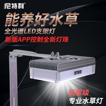Nitelli LED Nitelli lamp downlight bracket lamp full spectrum grass cylinder lamp Aquatic lamp lighting algae cylinder clamp lamp