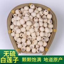 Dabie Mountain specialty lotus seed lotus seed new goods Xiang microdermabrasion no core no heart White lotus seed farm-produced