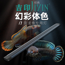 Jiyin Thunder Dragon Fish Tank Special Lamp Color Enhancement Color Suction Cup Professional Lighting led Anti-Aquarium Watch Switch