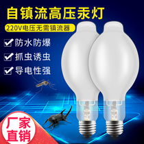 High pressure mercury lamp lure lamp catch insects and insects cricket grasshopper grasshopper butterfly ultraviolet white light bulb high power