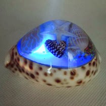 Luminous conch shell starfish cute insects rare amber ornaments crafts children girlfriend gifts