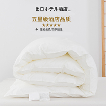 Export Japan Minjuku Hotel quilted by the core Spring and autumn quilted air conditioning quilted by thin and soft fluffy winter quilted by the summer quilt