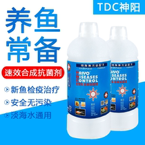 Shenyang TDC quick-acting synthetic antibacterial agent light seawater general marine fish quarantine water white point fish medicine