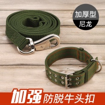 Thickened nylon belt for medium and large dogs with dog walking rope bull head hook buckle traction belt golden hair German shepherd Tibetan mastiff bolt dog chain