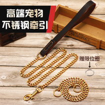 Golden stainless steel p-chain dog leash collar horse dog golden retriever Rottweiler chain medium large dog cover