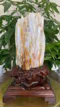 Quality Ice Seed Myanmar Wood Wood Jade Tabletop Hospitality Tree Fossil Chiishi Natural Wood Fossil Tree Fossilized Jade Original Stone Pendulum