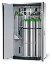 Germany Denios 117004 industrial fireproof cylinder cabinet 90-minute fireproof cabinet Safety storage cabinet