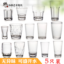 Young acrylic Cup PC plastic juice beer cup buffet cup tea cup tea cup anti-drop Cup (five pack)