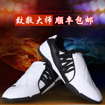 Shunfeng WOOSUNG Taekwondo shoes for children men and women training martial arts shoes mesh breathable adult coach shoes