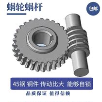 Non-standard copper machined parts Turning parts processing reducer worm gear Worm 45 steel copper parts Metal gear non-standard