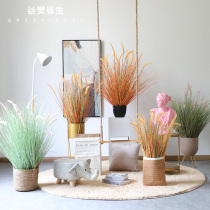 Living room dogtail Nordic simulation plant potted large office fake tree decoration household indoor potted ornaments