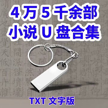 小说U盘txt文本电子书优盘手机电脑两用玄幻仙侠推理都市言情小说