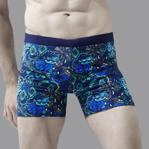 OOK swimming trunks mens swimming trunks five-point boxer pants fashion sexy large size professional spa swimming trunks mens swimsuit