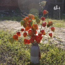 Northeast style red girl dried fruit bouquet 21 years of fresh dried brocade lantern red lantern Mountain Girl
