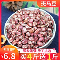 Zebra bean 500g kidney bean flower bean Shendou farmer self-produced PodBean granules full beans whole grains coarse grains