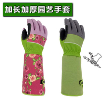 Imported gardening gloves long thickened garden cold-proof wear-resistant planting flowers rose stab-resistant tie-resistant picking gloves