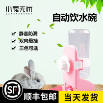 Pinko with the same licking water bowl Rabbit Chinchilla Guinea pig automatic drinking water bottle water bowl silent kettle 500ml